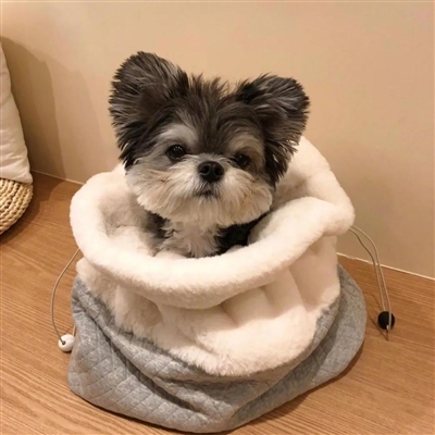 2023最火狗狗头像卡通(精选25张)