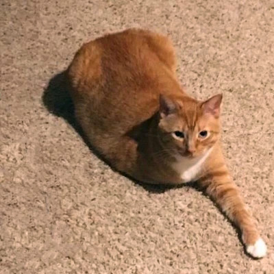 2023最火情侣头像傻雕(精选24张)