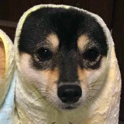 2023最火情侣头像傻雕(精选24张)