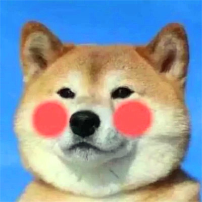 2023最火情侣头像傻雕(精选24张)