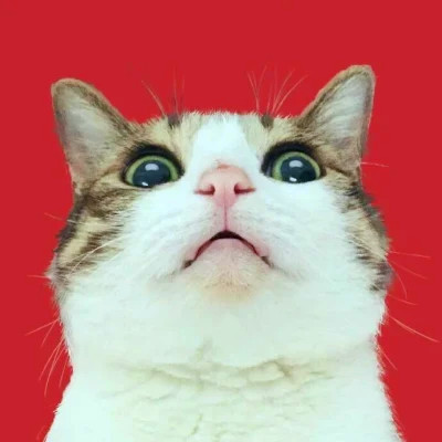 2023最火情侣头像傻雕(精选24张)