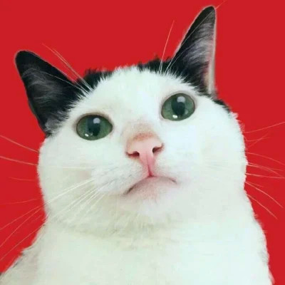 2023最火情侣头像傻雕(精选24张)