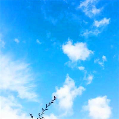 2023吉祥最火好看头像(精选24张)