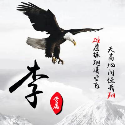 头像2023最火姓氏李男(精选23张)