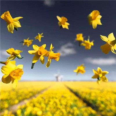 2023最流行微信头像(精选24张)