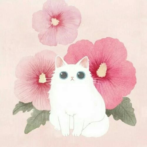 最火图片头像2023