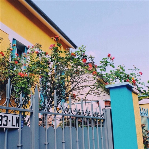 2023最火头像景物图片