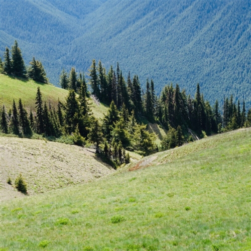 2023最火头像景物图片