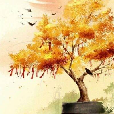 2023最火头像景物图片