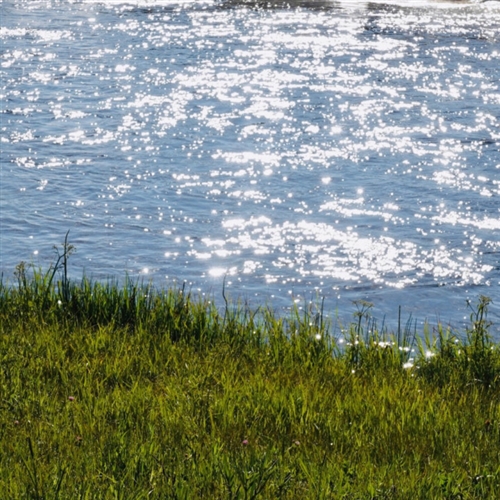 2023最火头像景物图片