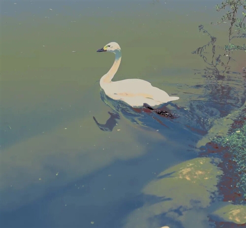 2023最火头像景物图片