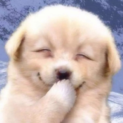 头像2023最火好看宠物(精选26张)