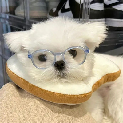 头像2023最火好看宠物(精选26张)