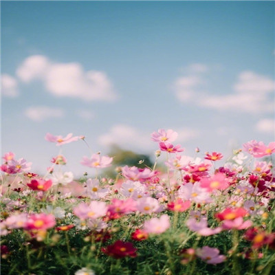 2023最实用微信头像(精选26张)