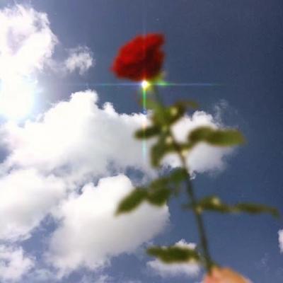 2023最实用微信头像(精选26张)