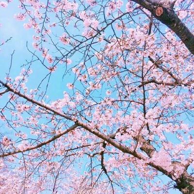 2023最实用微信头像(精选26张)