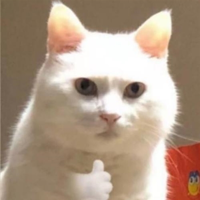 头像2023最火卡通搞笑(精选24张)