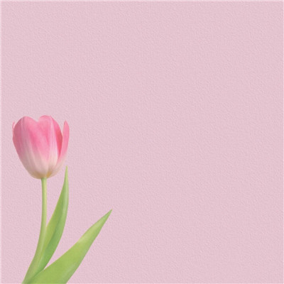 风景头像2023最火动漫(精选33张)