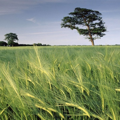 最美的阳光头像 阳光大气微信头像图片