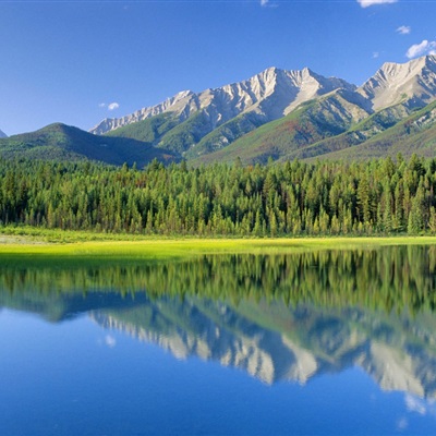 最美的阳光头像 阳光大气微信头像图片