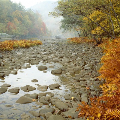 最美的阳光头像 阳光大气微信头像图片