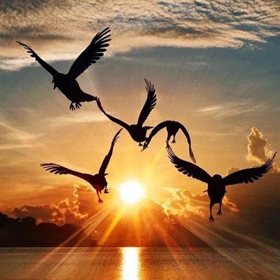 最美的阳光头像 阳光大气微信头像图片