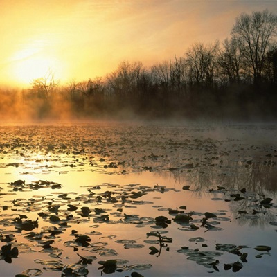 最美的阳光头像 阳光大气微信头像图片