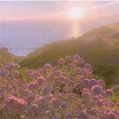 2023成年人最火头像 (精选24张)