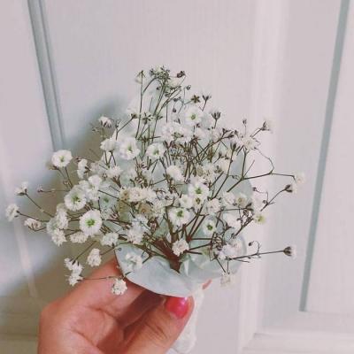 带来好运的微信头像花 微信图片花朵吉祥好运