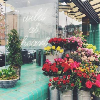 带来好运的微信头像花 微信图片花朵吉祥好运