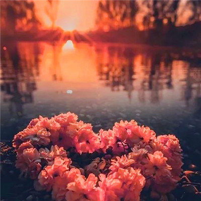 2023转运的微信头像 2023年招财微信头像