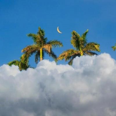 2023年给女人带来好运的头像 女人专用的微信头像