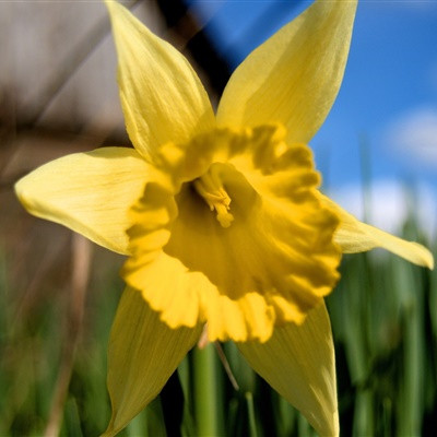 2023年给女人带来好运的头像 女人专用的微信头像