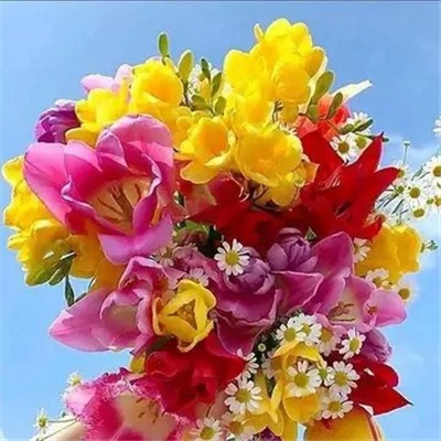 2023年给女人带来好运的头像 女人专用的微信头像