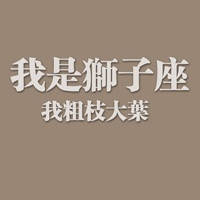 狮子座小学生男生专用头像