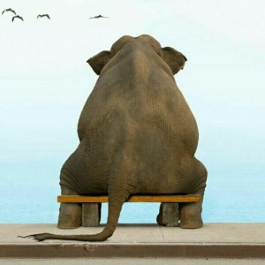 关于孤独寂寞的头像(精选24张)