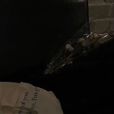 关于孤独寂寞的头像(精选24张)