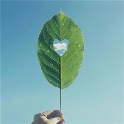 能带来好运的快手头像(精选16张)