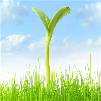 能带来好运的快手头像(精选16张)