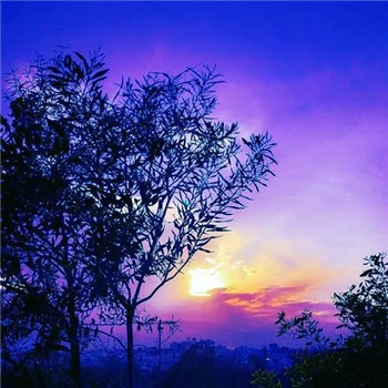 高分好运头像(16张)