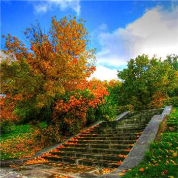 好运满满微信头像(16张)