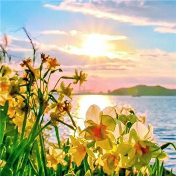 好运满满微信头像(16张)