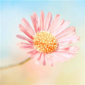 好运满满微信头像(16张)