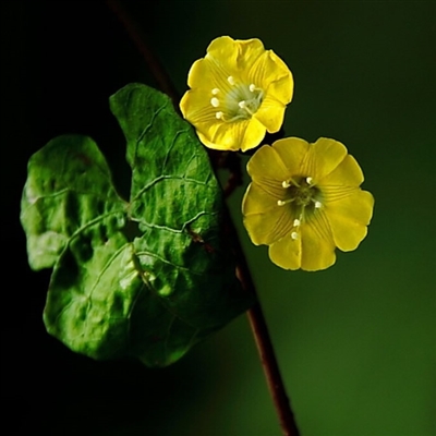最火最好看的头像(16张)