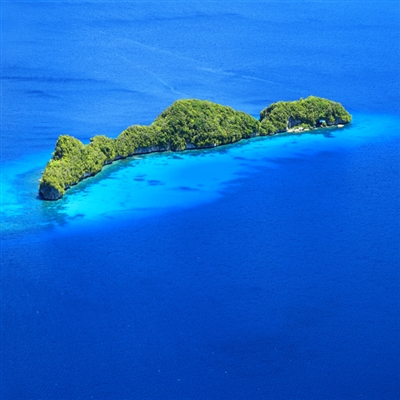 最火最好看的头像(16张)