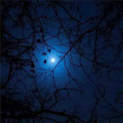 最受欢迎的头像图片男(22张)