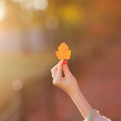 提升运气的微信头像图片(16张)