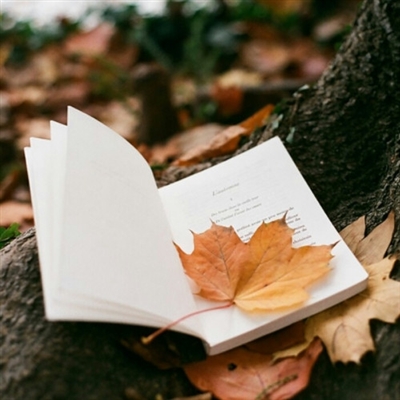 提升运气的微信头像图片(16张)