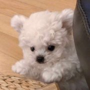 适合做头像的图片可爱(18张)