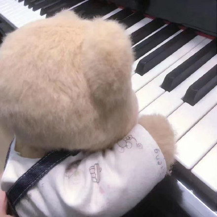 适合做头像的图片可爱(18张)